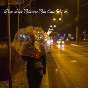 Deep Sleep Relaxing Rain Echo Vol. 1 - Sleep Sounds of Nature