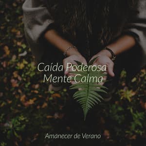 Caída Poderosa Mente Calma - Cascada de Lluvia