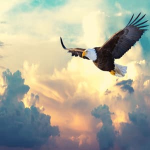 Stronger Than Yesterday - Andres Beats