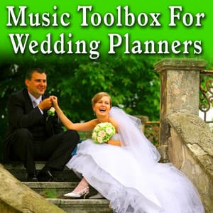 Music Toolbox for Wedding Planners - Wedding Day Music