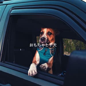 おもちゃと子犬 - Morgen Jazz