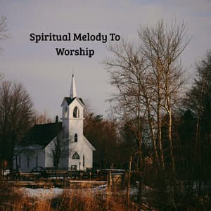 Spiritual Melody To Worship - Praise and Worship Orchestra