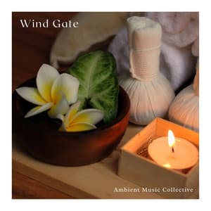 Wind Gate: Calming Spa Music - Ambient Music Collective