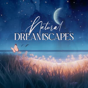 Natural Dreamscapes: Regeneration During Sleep - Soothing Music Academy