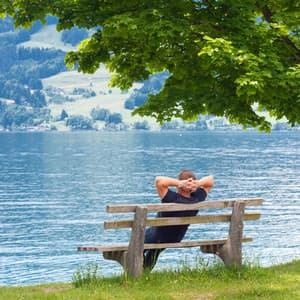 Flightpath Relaxation: Birds in Nature's Calming Embrace - Relaxing Music Ox