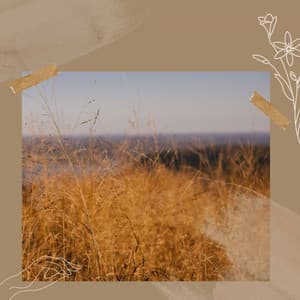 Relaxing Rituals - Nice - Jazz Afternoons