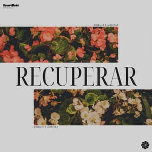 Recuperar - Dormir e Meditar
