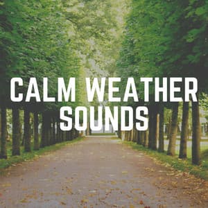 Calm Weather Sounds - Zen Garden Secrets