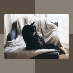 Hip Backdrop for Happy Cat - Cat Music Waves