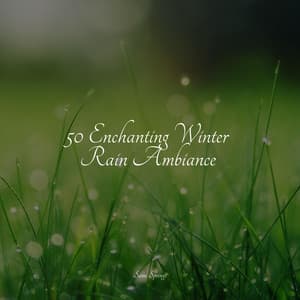 50 Enchanting Winter Rain Ambiance - White Noise For Baby Sleep