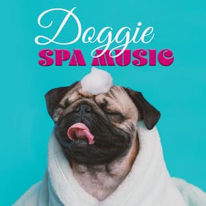 Doggie Spa Music: Bath & Care, Washing & Brushing - Pets Music