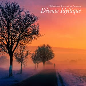 Détente Idyllique - Relaxation Sommeil et Détente