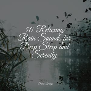 50 Relaxing Rain Sounds for Deep Sleep and Serenity - Sleep Rain