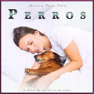 Música Puro Para Perros: El Sueño De Los Perros De Fondo - Música Para Perros