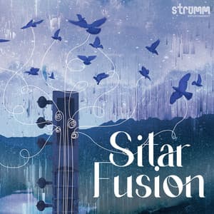 Sitar Fusion - Chirag Katti