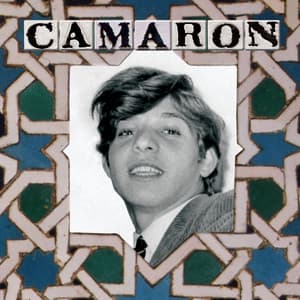 Camarón En La Venta De Vargas - Camaron De La Isla