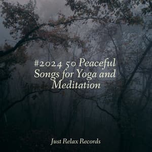#2024 50 Peaceful Songs for Yoga and Meditation - Yoga Sounds