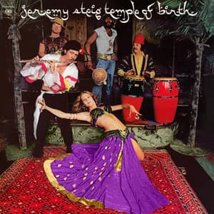 Temple Of Birth - Jeremy Steig