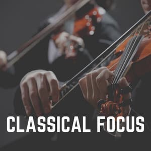 Classical Focus - Brain Power Amadeus