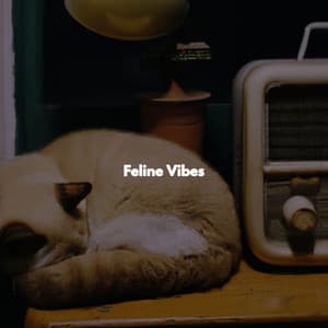 Feline Vibes - Chill Jazz Vibes