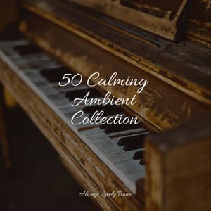 50 Calming Melodies for Meditation - Romantic Piano
