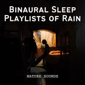 Nature Sounds: Binaural Sleep Playlists of Rain - Rain Recorders