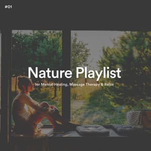 #01 Nature Playlist for Mental Healing, Massage Therapy & Relax - The Nature Soundscapes