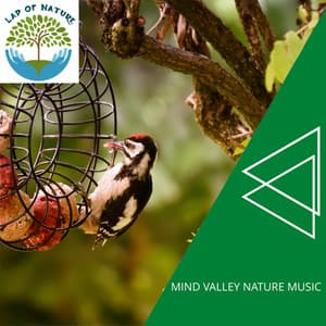 Wonders of Nature - Calm Music