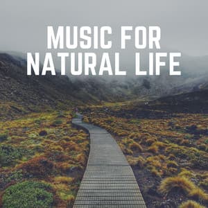 Music for Natural Life - Zen Garden Secrets