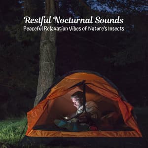 Restful Nocturnal Sounds: Peaceful Relaxation Vibes of Nature's Insects - Nature Field Recorders