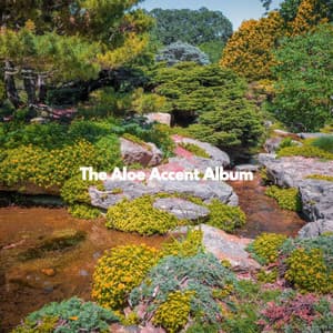 The Aloe Accent Album - Light Dinner MusicLight Dinner Music