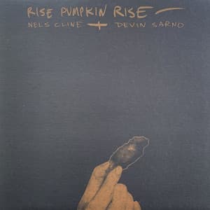 Rise Pumpkin Rise - Nels Cline