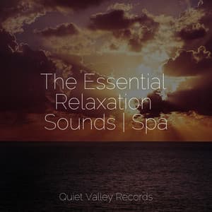 The Essential Relaxation Sounds | Spa - Nature Sounds XLE Library