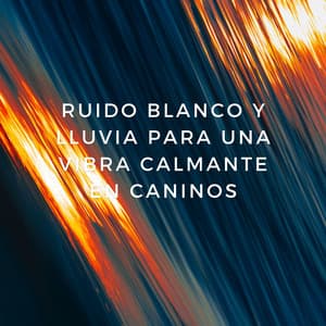 Zona Zen Para Perros: Ruido Blanco Y Lluvia Para Una Vibra Calmante En Caninos - El Ruido Blanco