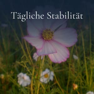 Tägliche Stabilität - Entspannungsmusik Oase