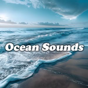 Ocean Sounds - Ocean Sounds Spa