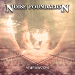 Reverberations - Noise Foundation