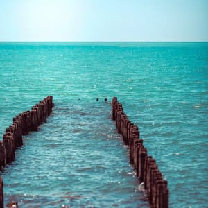 50 Nautical Miles: Inner Compass - Seascapers