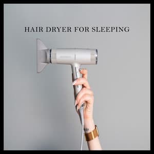 Hair Dryer for Sleeping - For Sleeping by Beneluxa