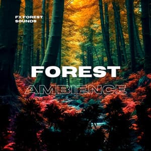 Forest Ambience Nature Sounds - FX Forest Sounds
