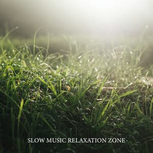 Slow Music Relaxation Zone: Find Peace and Inner Calm - Inner Peace Paradise