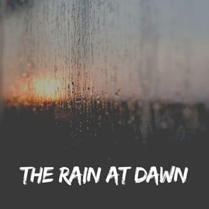 The Rain at Dawn - The Sound Of The Rain