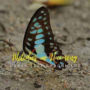 Jazz Café Reverie: Lounge Melodies in Harmony - Chill Jazz Radio