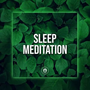 Sleep Meditation - Jungle Sounds