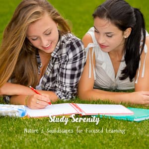 Study Serenity: Nature's Soundscapes for Focused Learning - Nature Caldwell