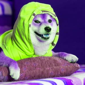 Bgm for Saturday Pups - Music for Pets Playlist