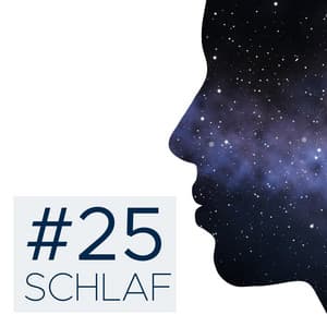 #25 Schlaf: Beruhigende Piano-Musik, entspannende New-Age-Musik, gute Nacht schlafen - Achtsamkeit Meditationsmusik Schule