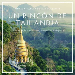 Un Rincón de Tailandia: Música Tailandesa Relajante, Sonidos de la Naturaleza, Atmósfera Relajante - Paraíso Secreto