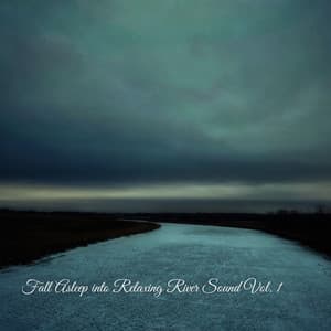 Fall Asleep into Relaxing River Sound Vol. 1 - The Deep Sleep Music Academy