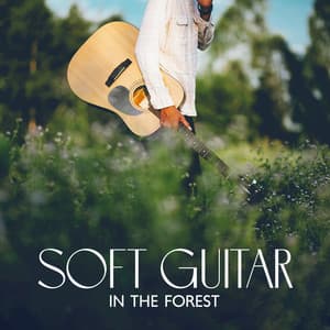 Soft Guitar In The Forest – Acoustic & Nature Sounds Mix: Soothing & Deep Relaxing Ambience - Acoustic Guitar Zone
